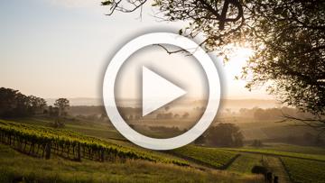 2026 Hyundai Venue Auto MY26